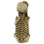 Design Toscano S/2 Mr Bone Jangles Skeleton Sitter