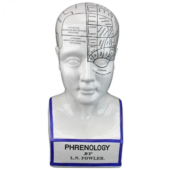 Design Toscano Porcelain Phrenology Head