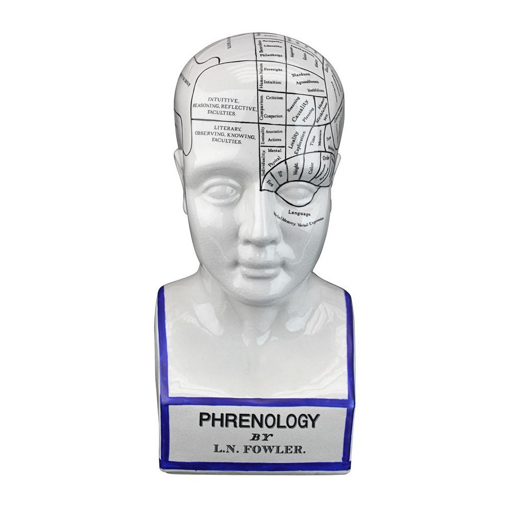 Design Toscano Porcelain Phrenology Head