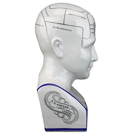 Design Toscano Porcelain Phrenology Head