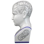 Design Toscano Porcelain Phrenology Head