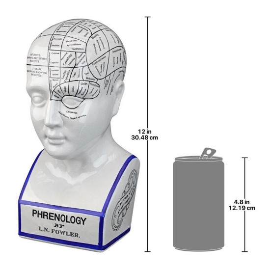 Design Toscano Porcelain Phrenology Head