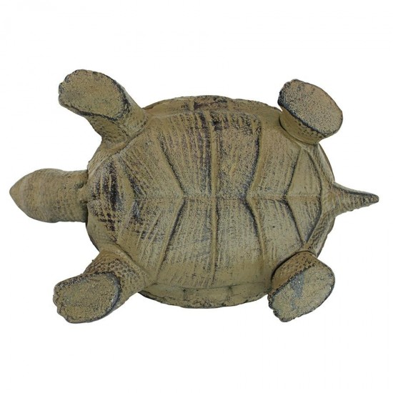 Design Toscano Aesops Turtle Statue