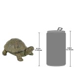 Design Toscano Aesops Turtle Statue