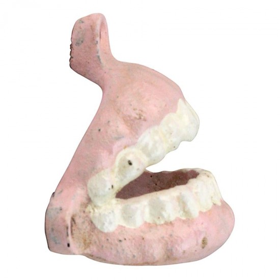 Design Toscano False Teeth Bottle Opener