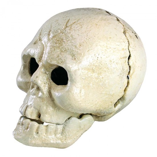 Design Toscano Pop Your Top Skull Bottle Opener