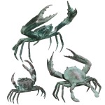 Design Toscano Set Of 3 Crabs