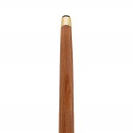 Design Toscano Compass Brass Walking Stick