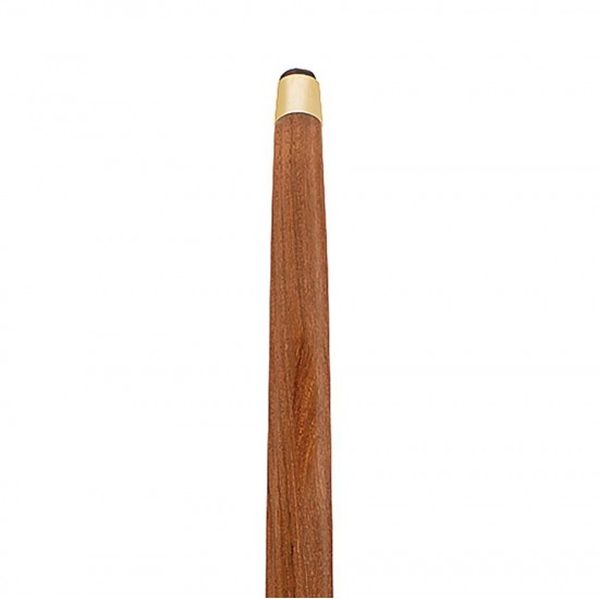 Design Toscano Compass Brass Walking Stick