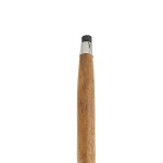 Design Toscano Peacock Walking Stick