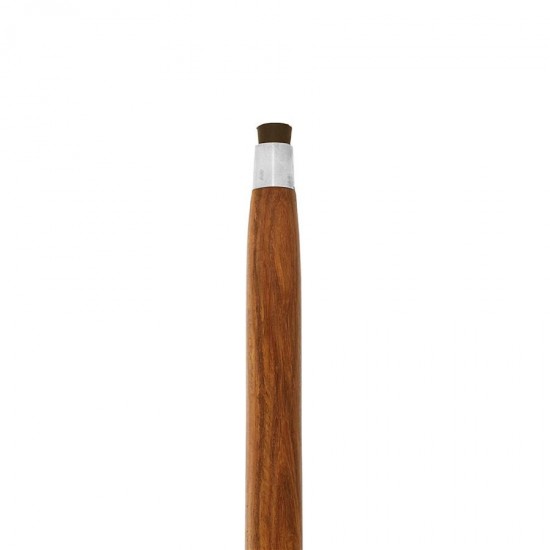 Design Toscano Fish Walking Stick