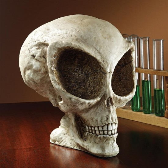 Design Toscano Extra Terrestrial Alien Skull Statue