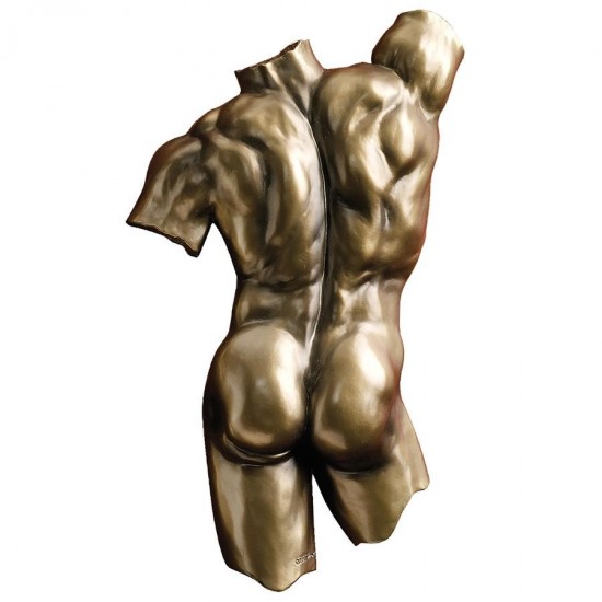 Design Toscano Male Anatomical Decipher Plaque