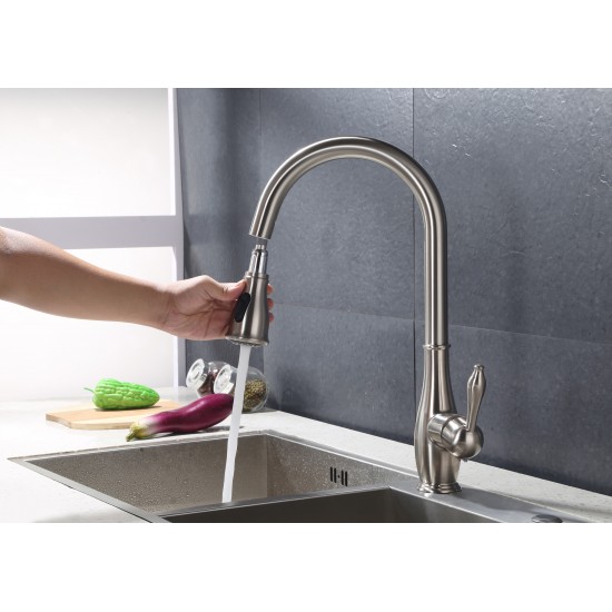 Vanity Art Pull out kitchen faucet, chrome, Chrome, F80002