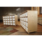TrueModern Twenty-Cubbie Shelf - with See-Thru Cubbie-Trays