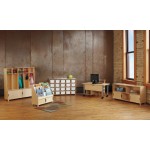 TrueModern Twenty-Cubbie Shelf - with See-Thru Cubbie-Trays