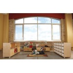 TrueModern Twenty-Cubbie Shelf - with See-Thru Cubbie-Trays