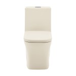 Concorde One Piece Square Toilet Dual Flush 1.1/1.6 gpf in Bisque