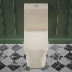 Concorde One Piece Square Toilet Dual Flush 1.1/1.6 gpf in Bisque