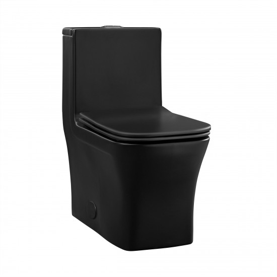 Concorde One-Piece Square Toilet Dual-Flush in Matte Black 1.1/1.6 gpf