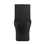 Concorde One-Piece Square Toilet Dual-Flush in Matte Black 1.1/1.6 gpf