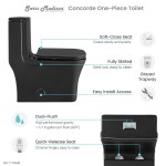 Concorde One-Piece Square Toilet Dual-Flush in Matte Black 1.1/1.6 gpf