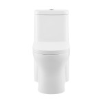 Monaco One-Piece Elongated Toilet Dual-Flush 1.1/1.6 gpf