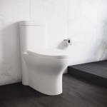 Monaco One-Piece Elongated Toilet Dual-Flush 1.1/1.6 gpf