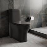 Monaco One-Piece Elongated Toilet Dual-Flush, Matte Black 1.1/1.6 gpf