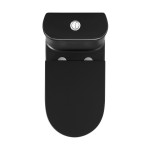 Monaco One-Piece Elongated Toilet Dual-Flush, Matte Black 1.1/1.6 gpf