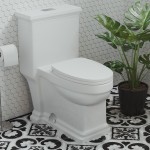 Voltaire One-Piece Elongated Toilet Dual-Flush 1.1/1.6 gpf