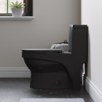 Virage One-Piece Elongated Toilet Vortex Dual-Flush 1.1/1.6 gpf, Matte Black