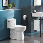 Swiss Madison Avallon One-Piece Toilet Side Flush 1.28 gpf