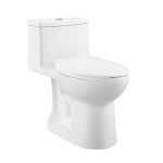 Avallon One-Piece Elongated Dual Flush-Toilet 1.1/1.6 gpf