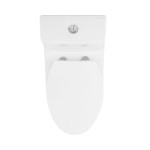 Avallon One-Piece Elongated Dual Flush-Toilet 1.1/1.6 gpf