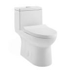 Daxton One-Piece Elongated Dual-Flush Toilet 1.1/1.6 gpf