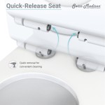 Daxton One-Piece Elongated Dual-Flush Toilet 1.1/1.6 gpf