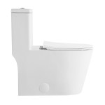 Dreux High Efficiency One-Piece Elongated Toilet, 0.8GPF Water Saving Technology