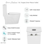 St. Tropez One-Piece Elongated Toilet Vortex Dual-Flush 1.1/1.6 gpf