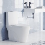 St. Tropez One-Piece Elongated Toilet Vortex Dual-Flush, Matte White 1.1/1.6 gpf