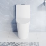 St. Tropez One-Piece Elongated Toilet Vortex Dual-Flush, Matte White 1.1/1.6 gpf