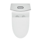 St. Tropez One-Piece Elongated Toilet Vortex Dual-Flush, Matte White 1.1/1.6 gpf