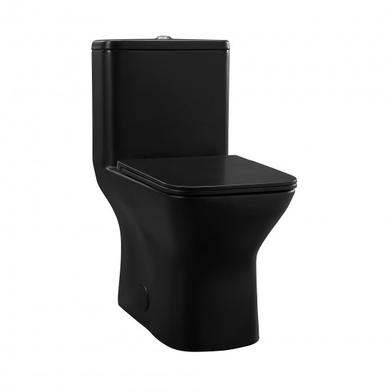 Carre One-Piece Square Toilet Dual-Flush in Matte Black 1.1/1.6 gpf