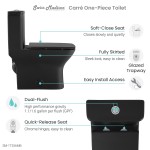 Carre One-Piece Square Toilet Dual-Flush in Matte Black 1.1/1.6 gpf