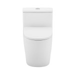 Brusque One-Piece Elongated Toilet Vortex Dual-Flush 0.8/1.18 gpf