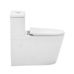 Brusque One-Piece Elongated Toilet Vortex Dual-Flush 0.8/1.18 gpf