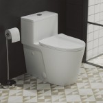 Brusque One-Piece Elongated Toilet Vortex Dual-Flush 0.8/1.18 gpf