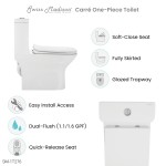 Carré One-Piece Elongated Toilet Dual-Flush 1.1/1.6 gpf with 10" Rough-In