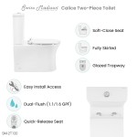 Calice Two-Piece Elongated Rear Outlet Toilet Dual-Flush 1.1/1.6 gpf