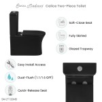 Calice Two-Piece Elongated Rear Outlet Toilet Dual-Flush 0.8/1.28 gpf, Black